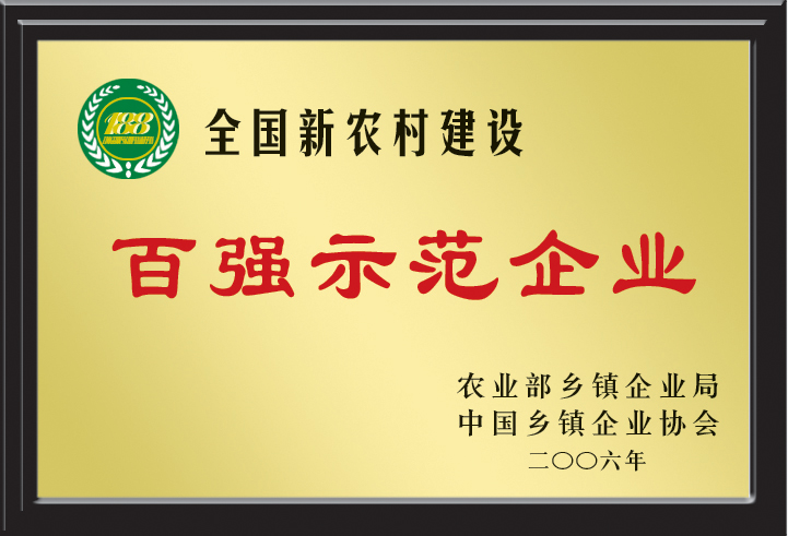 百強(qiáng)示范企業(yè)